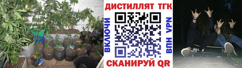 Дистиллят ТГК гашишное масло  Ленинградская 