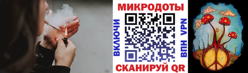 Псилоцибиновые грибы Psilocybine cubensis  Ленинградская 