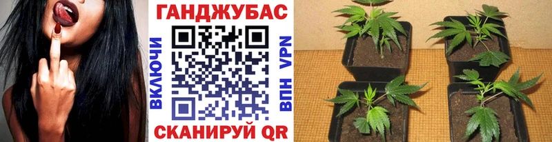 Каннабис ГИДРОПОН Ленинградская